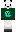 skin of a player