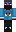 skin of a player