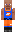 skin of a player