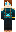 skin of a player