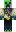 skin of a player