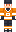 skin of a player