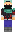 skin of a player