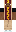 skin of a player