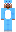 skin of a player