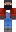 skin of a player