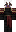 skin of a player