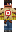 skin of a player
