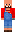 skin of a player