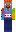 skin of a player