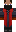 skin of a player