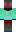 skin of a player