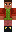 skin of a player