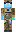 skin of a player