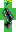 skin of a player