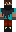 skin of a player