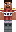 skin of a player