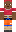skin of a player