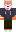 skin of a player