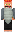skin of a player