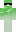 skin of a player