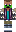 skin of a player