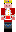 skin of a player