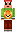 skin of a player