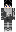 skin of a player