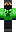 skin of a player