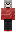 skin of a player