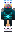 skin of a player