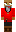 skin of a player
