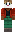 skin of a player