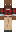skin of a player