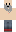 skin of a player