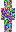 skin of a player