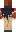 skin of a player
