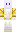skin of a player