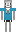 skin of a player