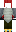 skin of a player