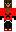 skin of a player