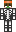 skin of a player