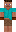 skin of a player