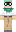 skin of a player