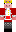 skin of a player