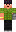 skin of a player