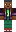 skin of a player