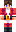 skin of a player