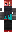 skin of a player